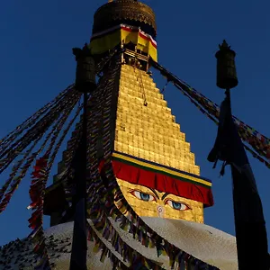 https://shambaling-boutique-hotel.hotels-kathmandu.com